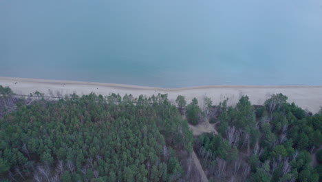 Bosque-Denso-Y-Orilla-Arenosa-En-La-Playa-De-Gorki-Zachodnie-En-Gdansk,-Polonia