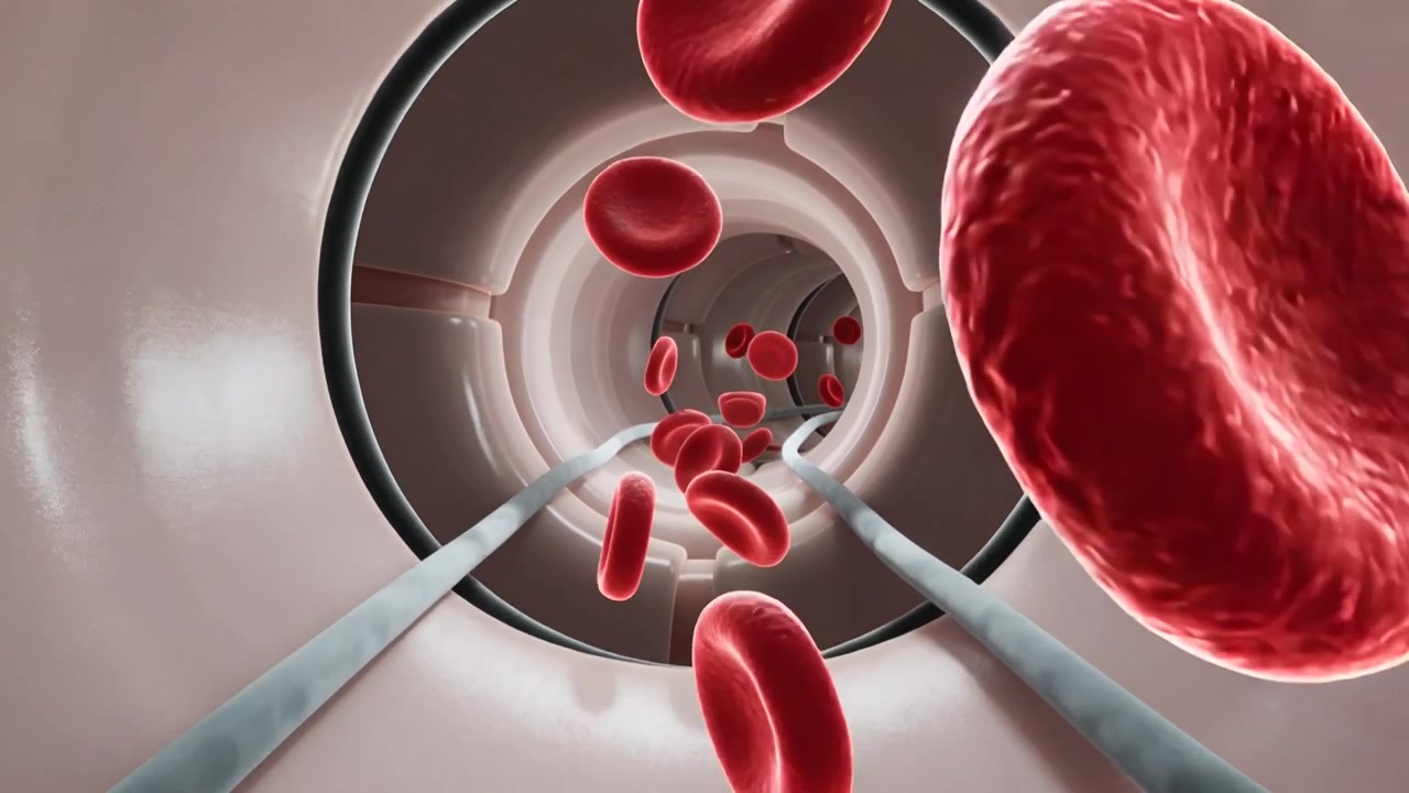 Advancing camera through pale pink vessel lumen, red blood cells flowing past ribbons and rings