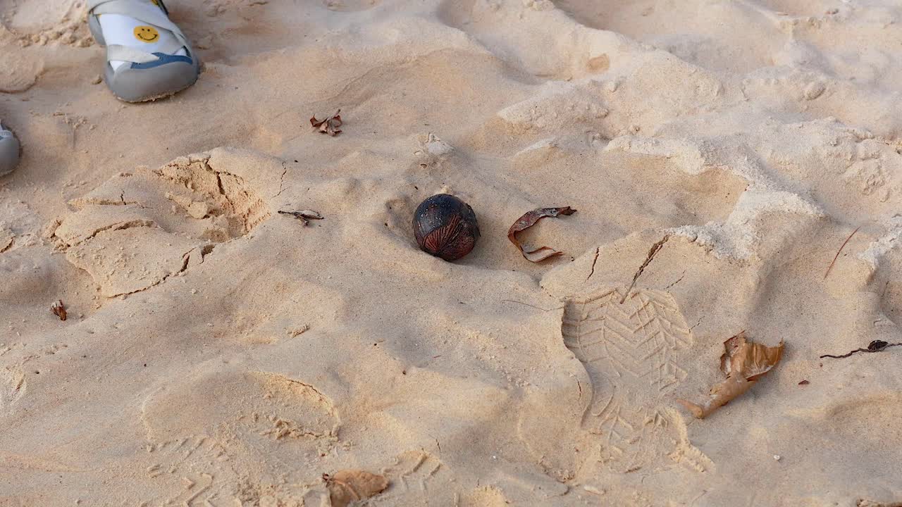 A person picks up a coconut from sandy Karon Beach in Phuket, Thailand, under bright daylight, showcasing a casual beach moment