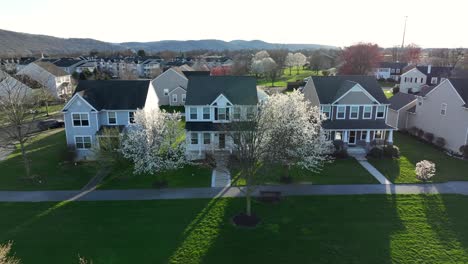 Tranquil spring scene of modern american houses, sideways aerial