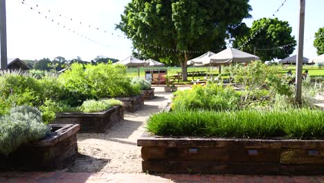 a tranquil garden with lush greenery and outdoor seating under sunny skies in byron bay, australia