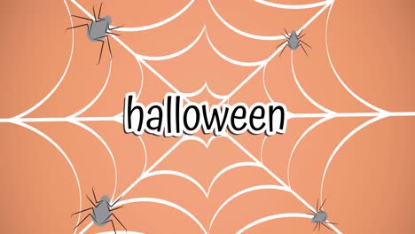 Animation-Von-Halloween-Text-über-Spinnennetz