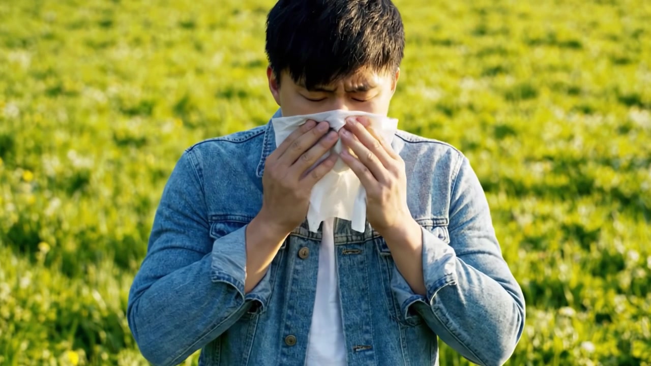 Un giovane uomo con una giacca di jeans che cammina attraverso un campo verde lussureggiante, alle prese con le allergie e che starnutisce in un fazzoletto, catturato in due fotogrammi distinti