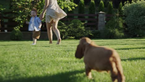 adorable puppy chasing owners in yard