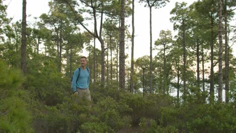 Männlicher-Wanderer,-Der-Im-Wald-Spaziert