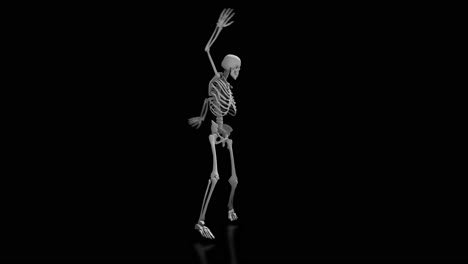 3d animated skeleton