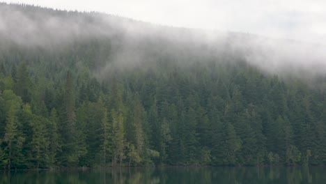 Toma-Amplia-De-Niebla-Que-Se-Mueve-Rápidamente-A-Través-De-Un-Bosque-Montañoso-En-La-Orilla-De-Un-Río