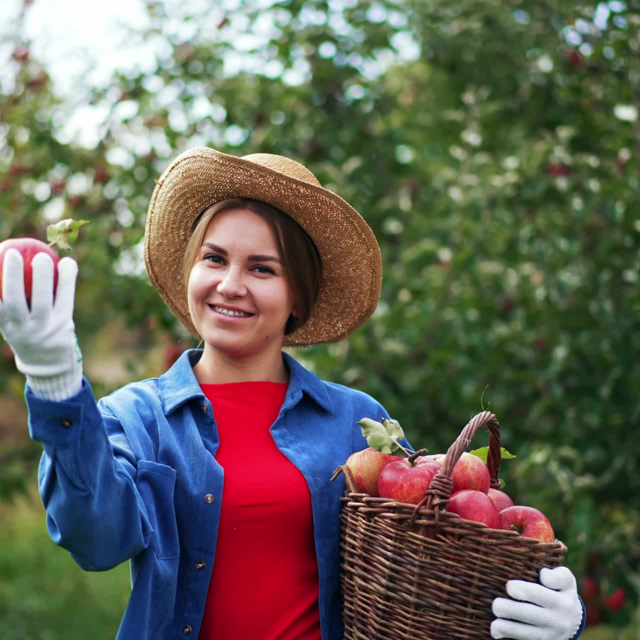 Happy female farmer holding a basket of ripe apples. Smiling lady offering a red fruit to the camera. Garden in blur at backdrop
