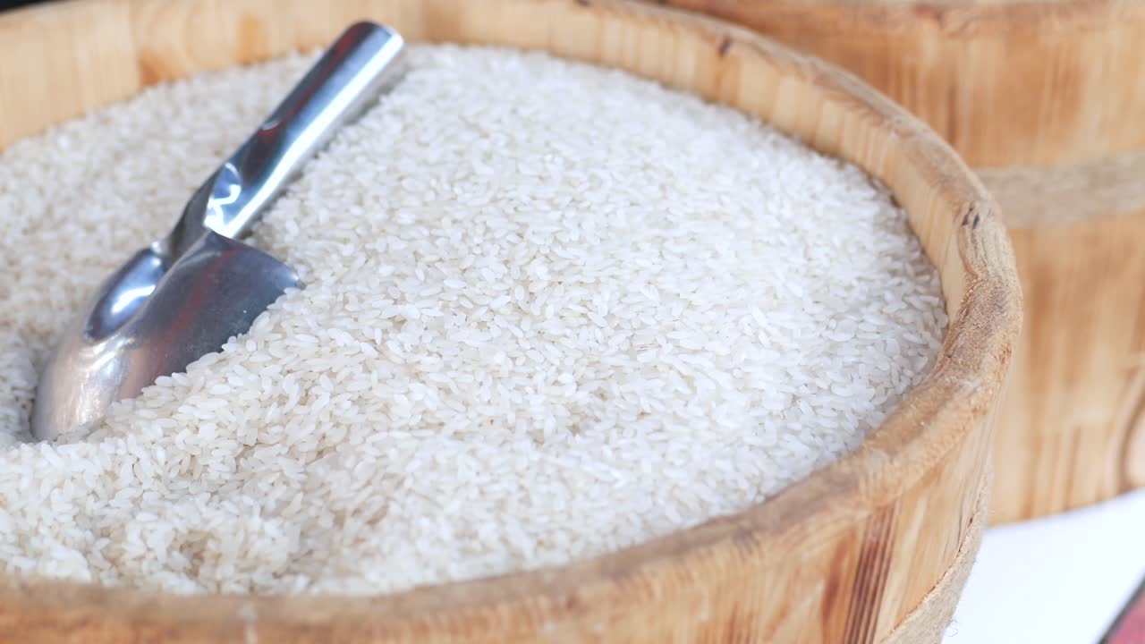 으로 가득 찬 나무 그