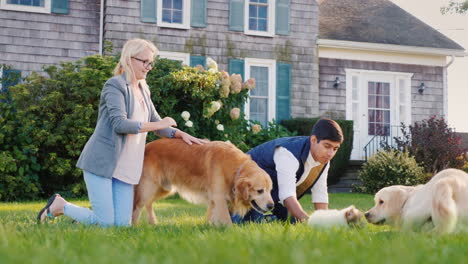 couple in backyard playing with dogs