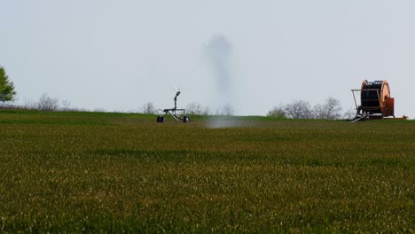 crops being irrigated by automated irrigation system