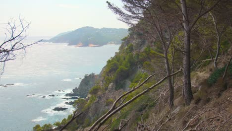 Wald-Der-Bergklippe-Mit-Felsiger-Küstenlinie-Und-Seelandschaft-In-Costa-Brava,-Katalonien,-Spanien