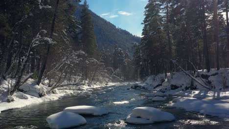 Schöner-Schneeszenenwald-Im-Winter.-Überfliegen-Von-Fluss--Und-Kiefernbäumen,-Die-Mit-Schnee-Bedeckt-Sind.