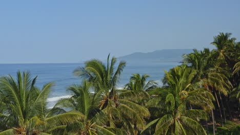 beautiful holiday beach destination, palm trees with ocean surf reveal, aerial