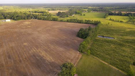 Field-drone-shot-of-farm-lands