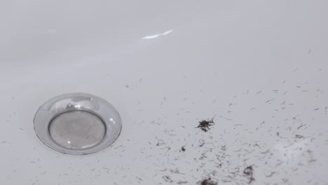 Whiskers-falling-into-a-white-bathroom-sink-while-shaving