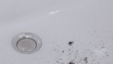 bigotes cayendo en un lavabo de baño blanco mientras se afeita