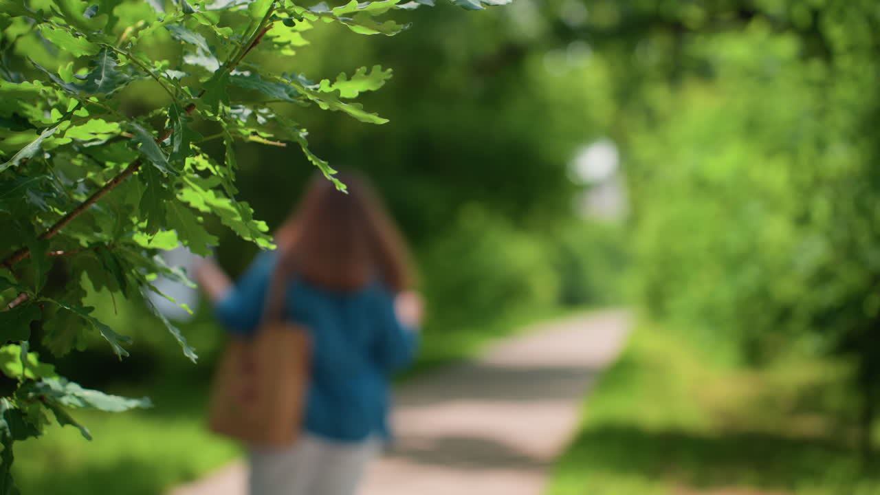 Close up of lush green tree branch swaying under sunlight while blurred figure of woman carrying handbag walks along peaceful alley surrounded by vibrant foliage