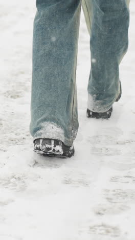 vista trasera de alguien vestido con una chaqueta de invierno y vaqueros, llevando una guitarra, caminando a través de la nevada, con copos de nieve aferrados a la chaqueta