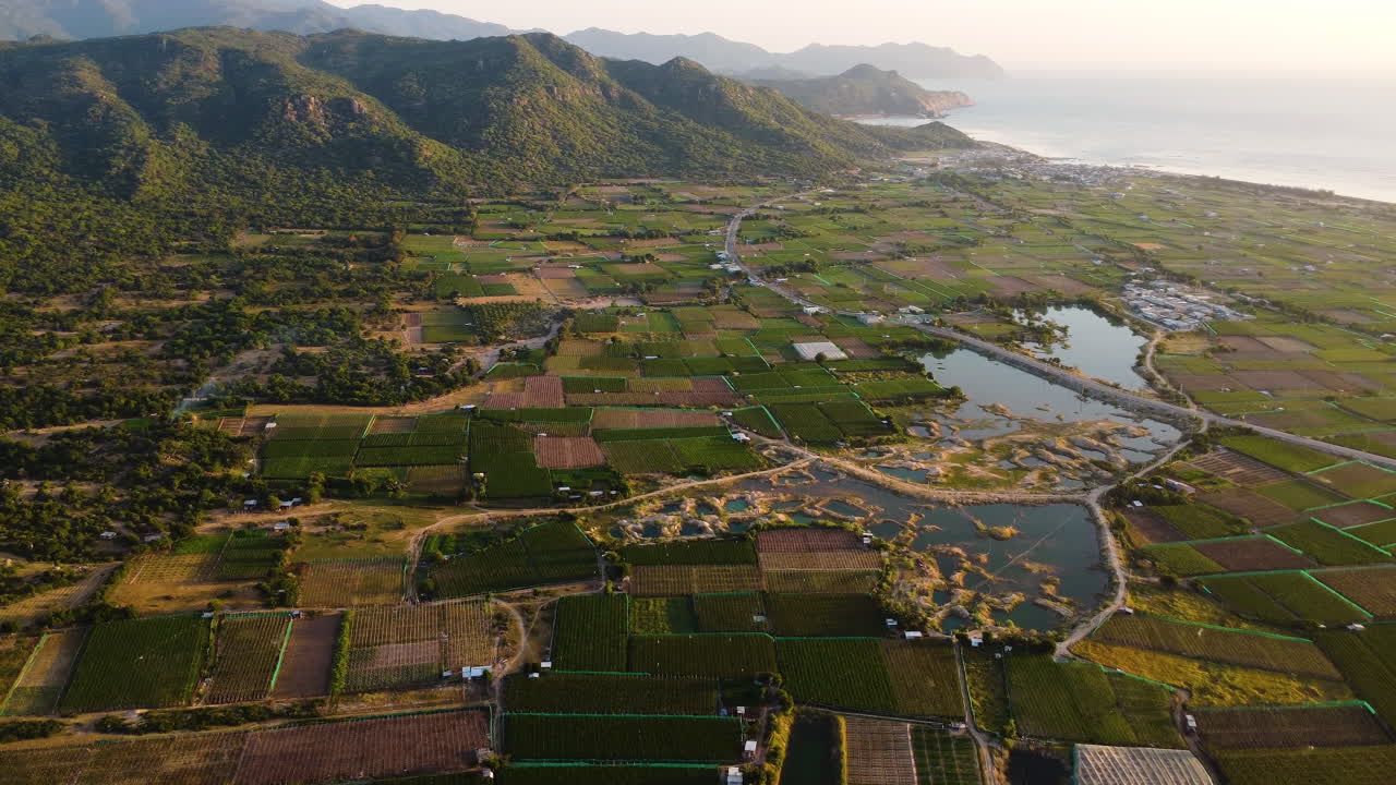 베트남 해안선과 지평선의 산맥에 있는 장엄한 녹색 활기찬 농업 분야