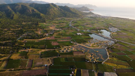 Majestic-green-vibrant-agriculture-field-on-Vietnam-coastline-and-mountain-range-in-horizon