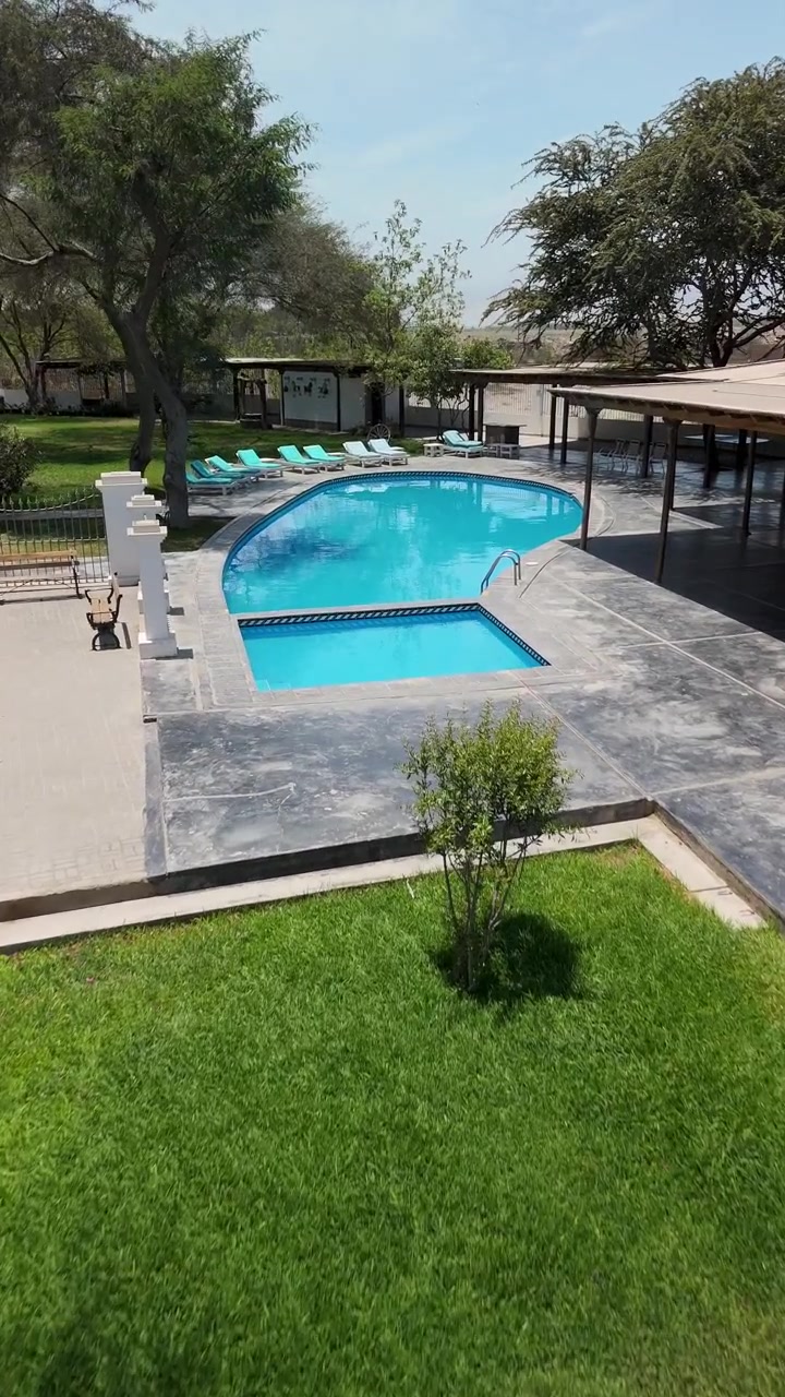 Luftfoto af have med swimmingpool og liggestole, vertikal intro.