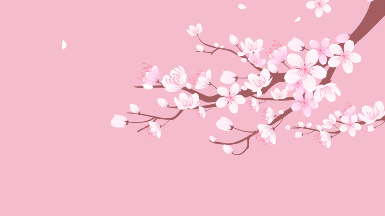 손으로 그린 체리 꽃 배경의 애니메이션