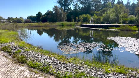 Ambiente-Tranquilo-E-Idílico-Al-Aire-Libre-Cerca-De-Un-Estanque-De-Agua-Y-Un-Parque-Peatonal,-Capturado-Durante-Un-Clima-Agradable-Y-Soleado,-Concepto-De-Ocio-Y-Recreación