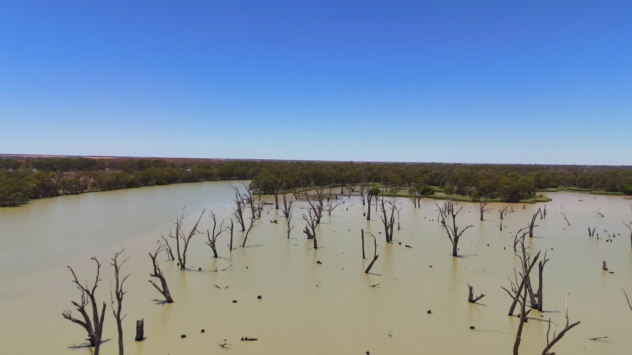 Ampia ripresa aerea in allontanamento di un vasto letto del fiume con tronchi d'albero sparsi e riflessi, cielo blu vuoto