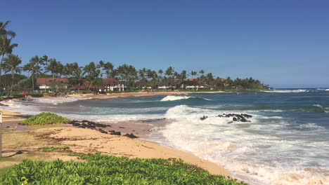 kiahuna beach in kauai hawaii