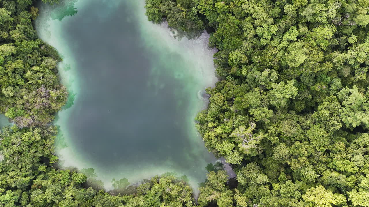 Cinematic aerial drone shot of the wild island landscapes in Palau