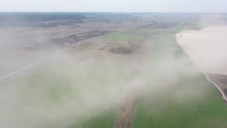 dust storm in the field. demolishes the fertile layer of black soil and crops.