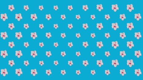 digital animation of multiple pink flowers moving against blue background