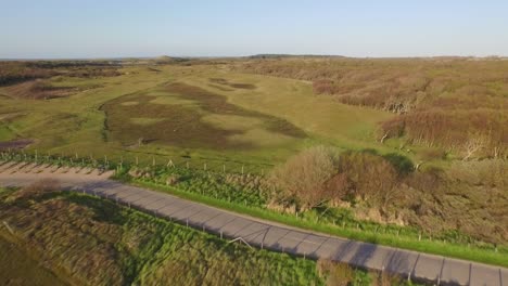 Aerial:-The-dune-nature-reserve-of-Oostkapelle-with-grazing-ponies