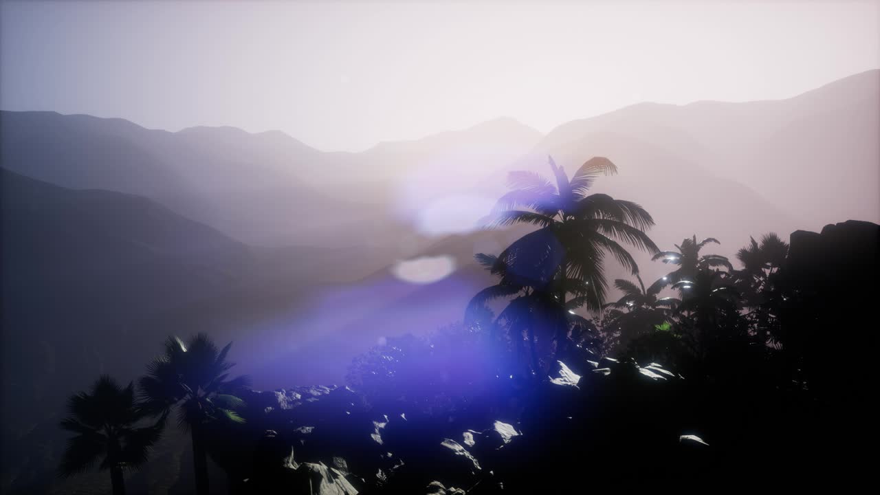 ⁇ 나무 를 가로지르는 해 가 지는 광선