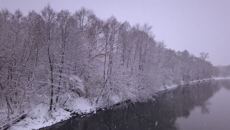 Panning-shot-across-Pilica-river-and-snow-covered-woodland-in-Polish-nature-reserve-with-gentle-snowfall