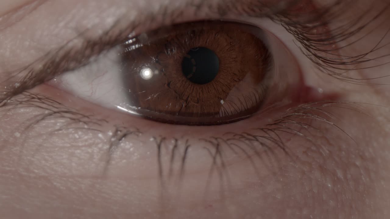 primer plano de un ojo marrón oscuro mirando hacia adelante y parpadeando