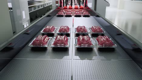 packaged raw meat trays on a conveyor belt in a factory