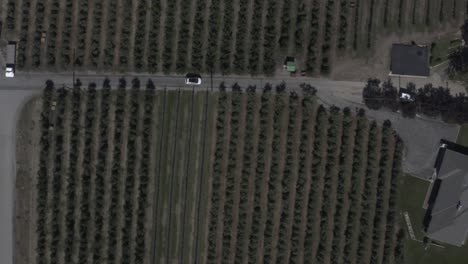 Aerial-fly-over-birds-eye-view-following-a-white-sedan-with-a-black-top-as-its-headed-into-a-curvy-ride-vineyard-winery-farm-with-a-multi-million-dollar-mansion-by-a-lakeside-estate-off-the-highway1-2