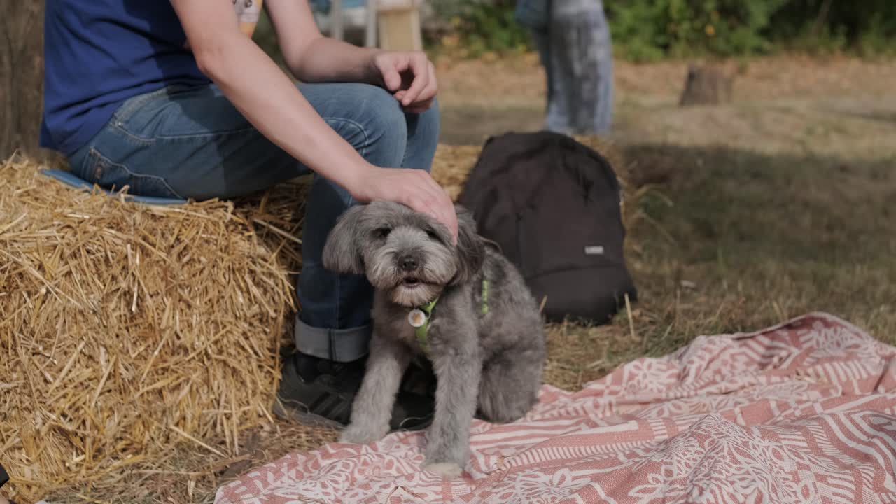 한 남자가 자연 속에서 휴가를 보내고 있는 개를 키우고 있다.