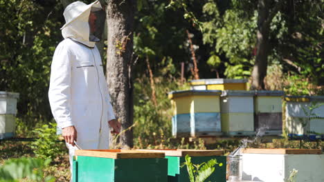 beekeeper is working with bees and beehives on the apiary. beekeeper on apiary.