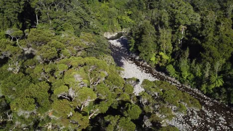 Volando-De-Lado-Para-Revelar-Un-Bosque-Con-Un-Río-Que-Lo-Atraviesa