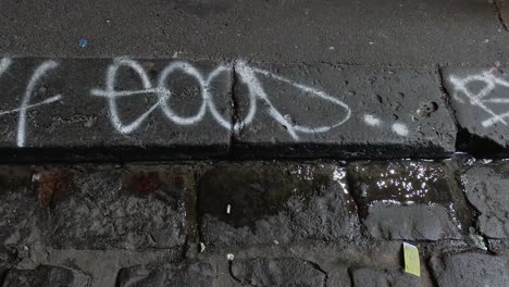 graffiti on wet bluestone gutter in melbourne