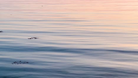 Peaceful Sunset over Calm Water