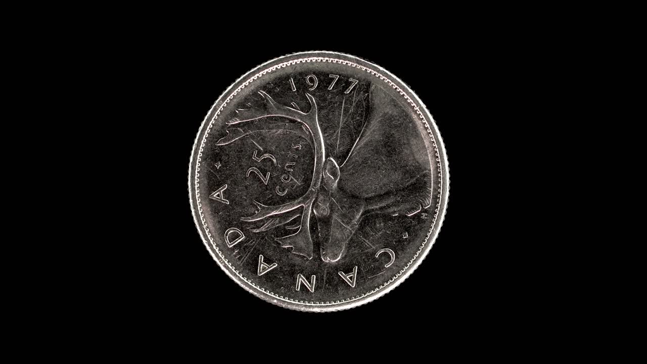 Canada 1977 25 cents coin reverse with caribou and denomination rotating on black background