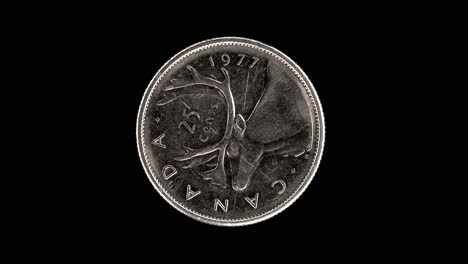 canada 1977 25 cents coin reverse with caribou and denomination rotating on black background