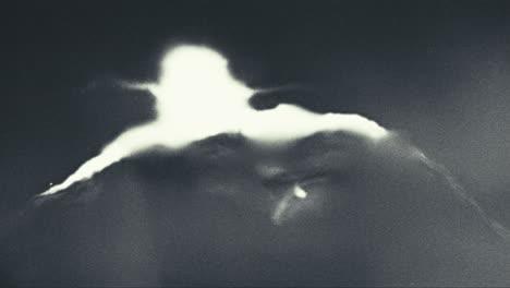 old footage of weird science experiment - alien lifeform