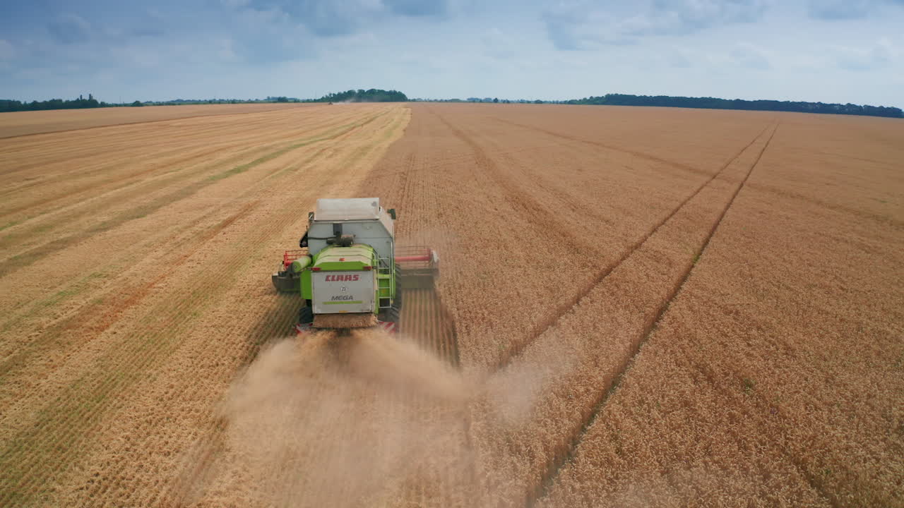 cosechadora combinada cosechando el campo de trigo