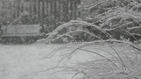 Starker-Schneefall-In-Einem-Garten-In-West-Yorkshire