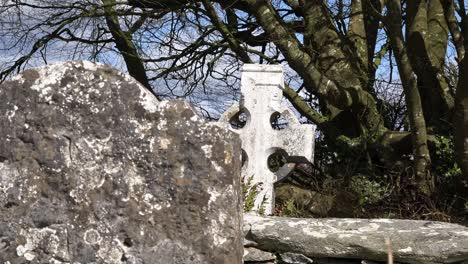 Old-Irish-Famine-graveyard-Celtic-cross-behind-ancient-headstone-in-spring